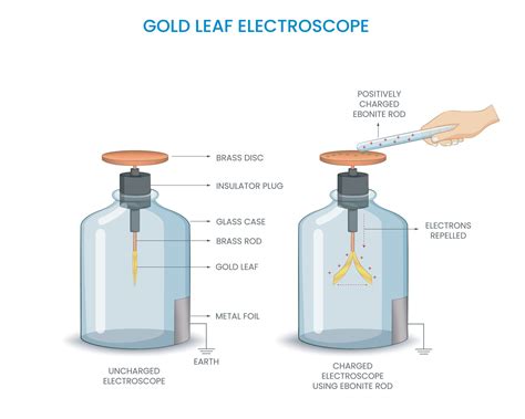 Gold leaf electroscope was Detects electric charge via leaf divergence, a common tool in ...