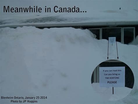 Meanwhile in Canada... | Canada funny, Canada memes, Meanwhile in canada