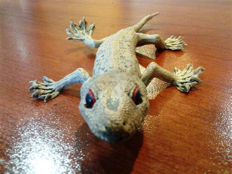 Night of the Iguana: How a 99-Cent Plastic Toy Terrorized a Vacationing Family | Summit Mountain ...