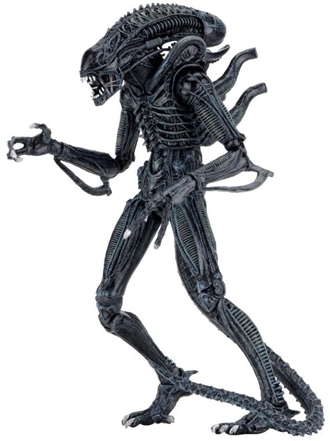 NECA Alien Warrior BLUE Alien 9 Action Figure Ultimate Version - ToyWiz