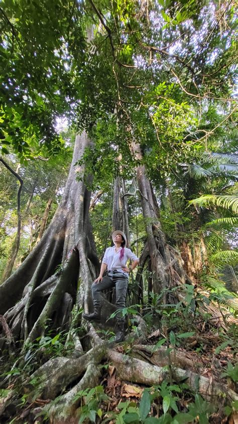 Dream Forest Langkawi at MATTA Fair Kl 2-4 September 2022 - Gaya Travel ...