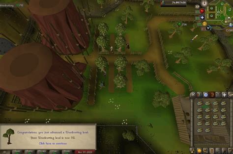 Rs3 woodcutting training guide