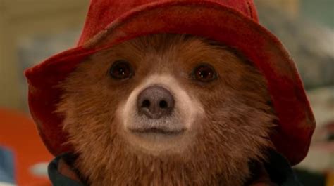 Paddington Facts To Get Your Bear Paws Into