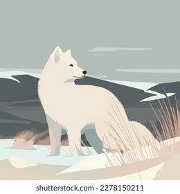 Arctic Fox Snowy Tundra Arctic Animals Stock Vector (Royalty Free) 2278150211 | Shutterstock