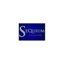 Sequium Asset Solutions - Org Chart, Teams, Culture & Jobs | The Org