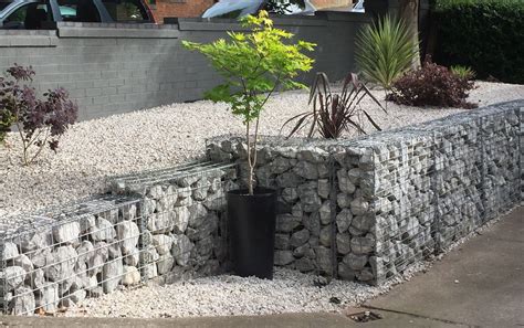 Gabion wall | Gabion wall, Front garden, Plants