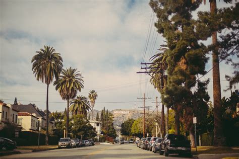 hollywood, road, trees Wallpaper, HD Nature 4K Wallpapers, Images and ...