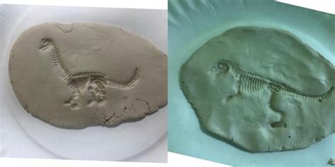 Making Fossil Imprints. TeachersMag.com