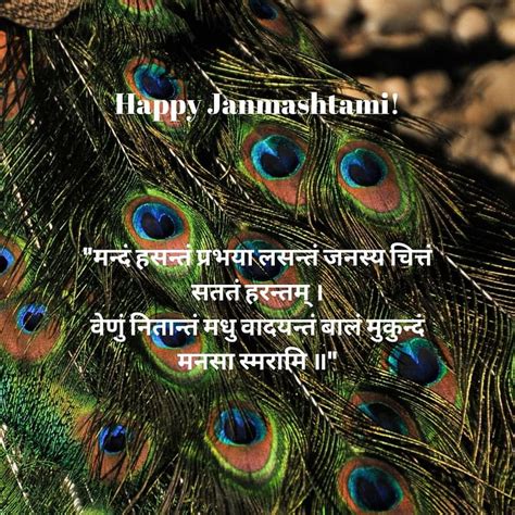 Happy Krishna Janmashtami 2019 Wishes in English,Hindi,Sanskrit,Malayalam,Telugu,Odia,Gujarati ...