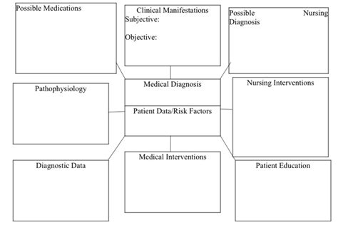 Nursing Pathophysiology Concept Map Template
