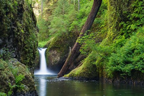 State of Oregon: Historic Columbia River Highway - Punch Bowl Falls