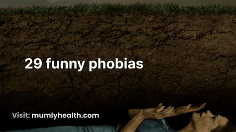 29 Funny Phobias: Embracing the Humor in Our Irrational Fears