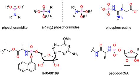 34 Structures of phosphoramidites, phosphoramides (two enantiomers ...