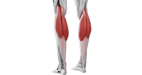 Gastrocnemius Tendonitis - Symptoms, Causes, Treatment & Exercises