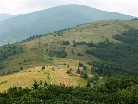 Roan Mountain Hiking - Balds, Rhododendrons, and Spruce-Fir Forests