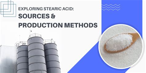 Exploring Stearic Acid: Sources & Production Methods