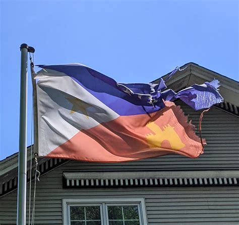 Acadiana Flag spotted in Chicago : vexillology