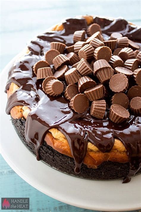 Peanut Butter Cup Cheesecake - Handle the Heat