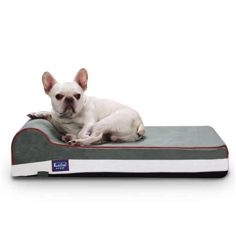 Laifug Orthopedic Memory Foam Extra Large Dog Bed with Pillow and ...