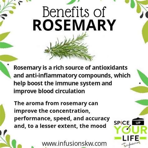 The Amazing Benefits of Rosemary