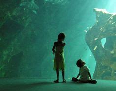 13 meilleures images du tableau Aquarium de La Rochelle | La rochelle, Aquarium et Visiter la ...