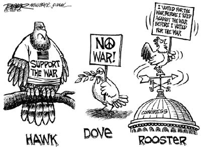 Hawks vs. Doves - War at abroad, War at home