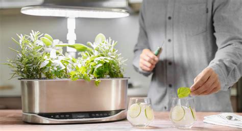 The AeroGarden is perfect for growing fresh veggies and herbs right in ...