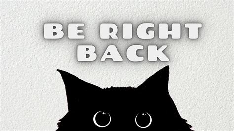 Twitch Be Right Back Screen Black Cat, Cute Cat Twitch Background, Twitch BRB Screen, Twitch ...