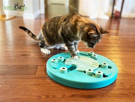 Cat Food Puzzles: How and Why to Use Them • KittyCatGO