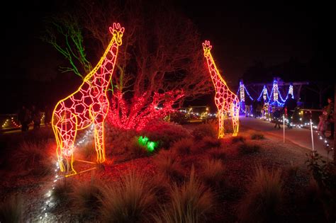 ZooLights at the Fresno Chaffee Zoo is a must-see when in Fresno during the holidays! | Chaffee ...