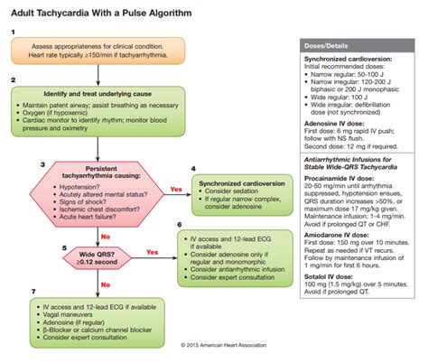 Acls Algorithm 2021 Printable - Customize and Print