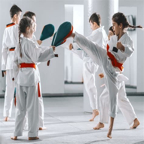 Karate Classes - The Learning Brush