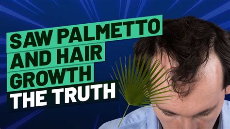 Saw Palmetto For Hair Offer Store, Save 60% | jlcatj.gob.mx