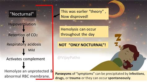 Pathology of PAROXYSMAL NOCTURNAL HEMOGLOBINURIA - Pathology Made Simple