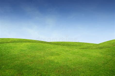 Green grass landscape stock photo. Image of beauty, beautiful - 22059002