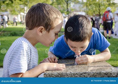 Children Drinking Water from Fountain Stock Image - Image of child, outdoor: 71610181