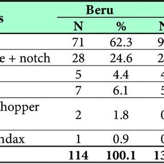 Flake tool types from Beru and Marale | Download Table