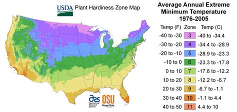 Map Of Usa Growing Zones - United States Map