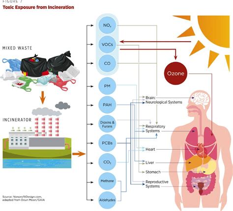 A New Paradigm for Plastics | Break Free From Plastic