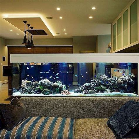 Wall Mounted Fish Tank and Aquarium | Wall aquarium, Aquarium design ...