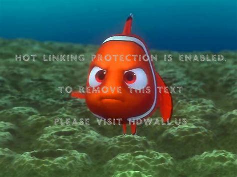 Cartoons Disney Company Finding Nemo Clownfish Normal - Finding Nemo (#1359834) - HD Wallpaper ...