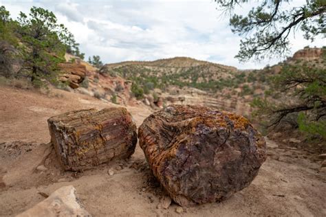 Things to Do at Escalante Petrified Forest State Park - PhotoJeepers