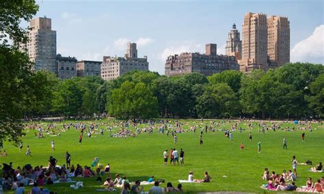 Discover everything you need to know about Central Park | New york ...