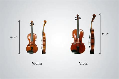 Viola Vs. Violin: 5 Major Differences | Infamous Musician