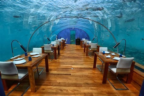 The Conrad Maldives Underwater Restaurant Ithaa Review: Worth It ...