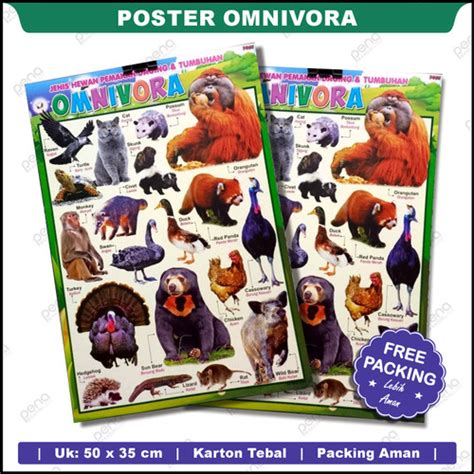 Jual Poster Edukasi Binatang Omnivora Hewan Pemakan Segala - Kab. Boyolali - PENA MANDIRI ...