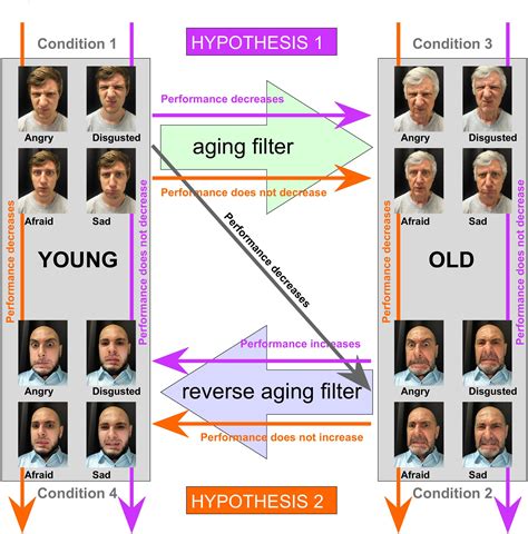 Frontiers | Having Difficulties Reading the Facial Expression of Older Individuals? Blame It on ...