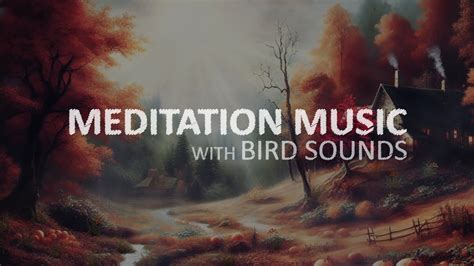 Peace in Nature: Meditation Music with Bird Sounds to Relax the Mind and Body - YouTube