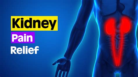 0.54 Hz - Kidney Detoxification & Healing | Kidney Pain Relief | Cure For Kidney Disease - YouTube