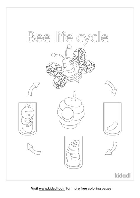 Bee Life Cycle Of A Page Coloring Pages